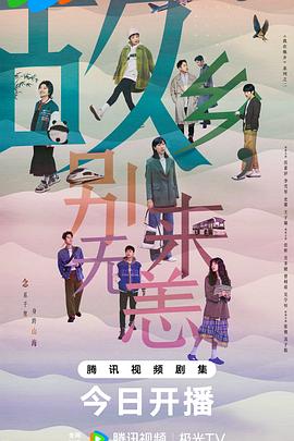 梁山seo推广哪家好